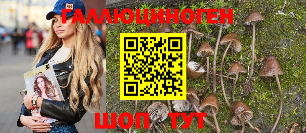 Псилоцибиновые грибы MAGIC MUSHROOMS  Вход с VPN  Михайловск 